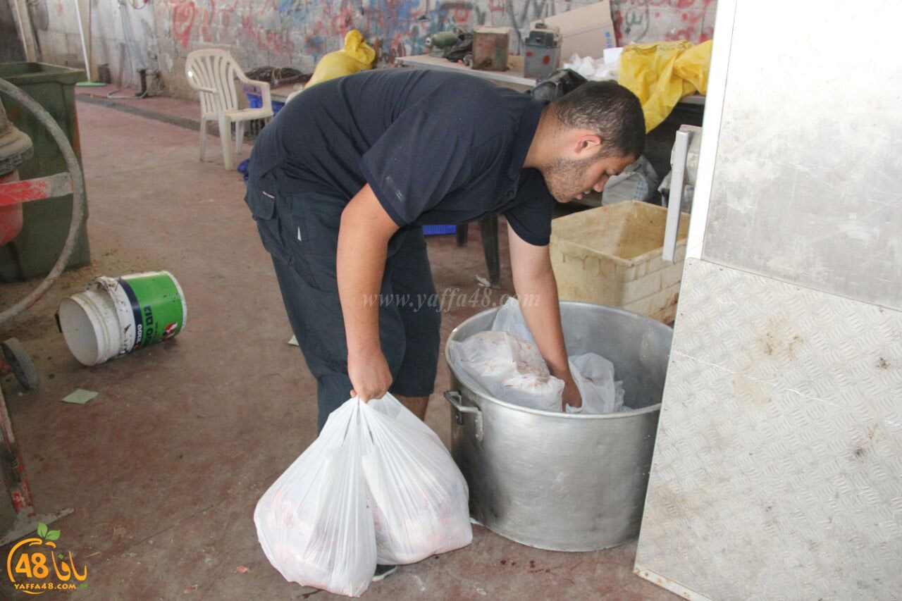 torody second marl7ala (20).jpg